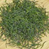 Highly Fragrant Wholesale Leaves Enshi Yulu Superior Green Tea Loose Leaf Green Tea Bulk